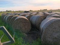 Heu Stroh Rundballen Streuheu Niedersachsen - Wittmund Vorschau