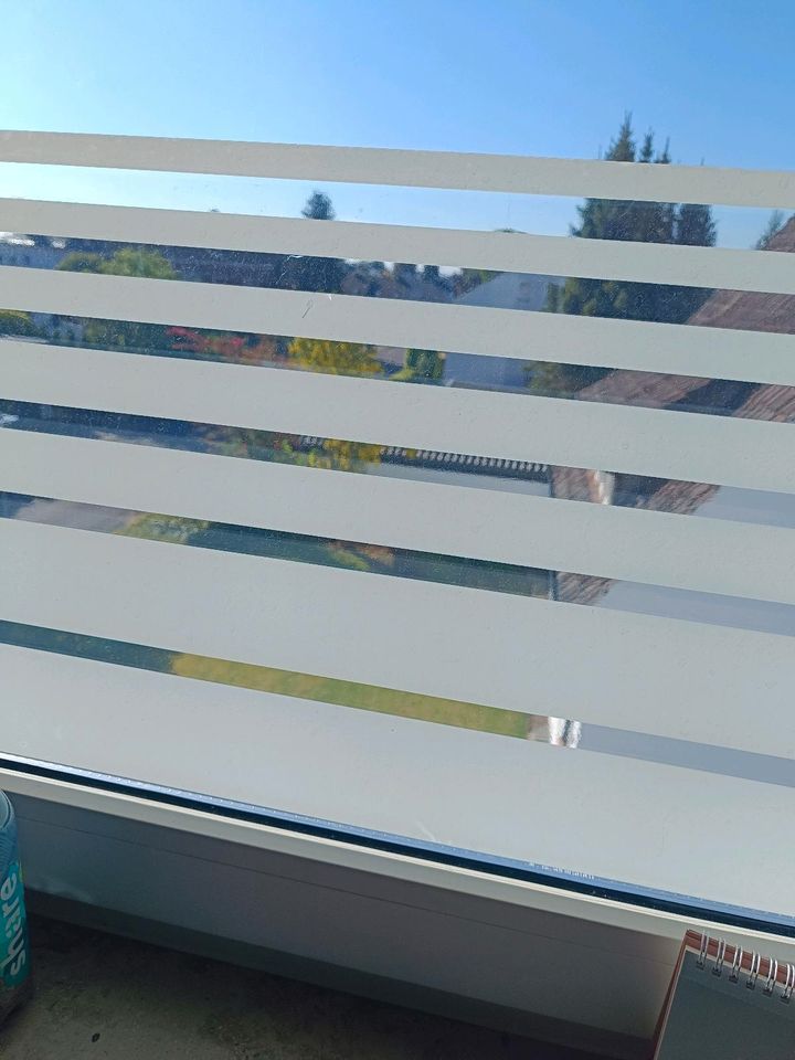 Fenster Sichtschutz in Lübbecke 