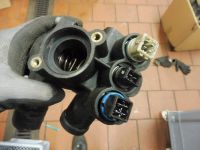 VW T4 Wasserflansch 2,8l VR6-Motor (ohne Rohr) Kühlwasser Bochum - Bochum-Wattenscheid Vorschau