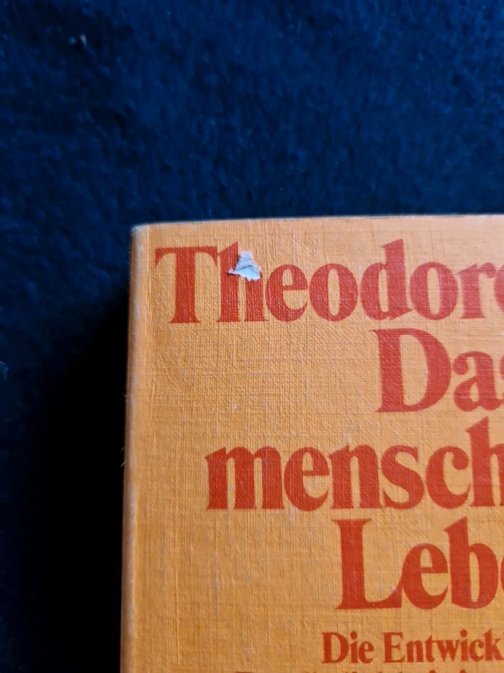 Theodore Lidz, Das menschliche Leben, zwei Bände in Bremen
