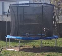 Verkaufe Trampolin Brandenburg - Prenzlau Vorschau