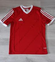 Trikot, Adidas, Gr.164 Niedersachsen - Eystrup Vorschau