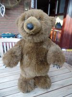 Kanadischer Teddybär mit Kunstoffkrallen unbespielt Nordrhein-Westfalen - Jülich Vorschau