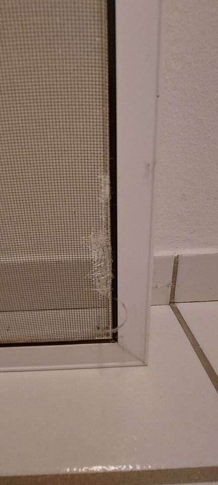 Insektenschutz für Fenster mit stabilem, festen Rahmen (weiß), Ga in Dransfeld