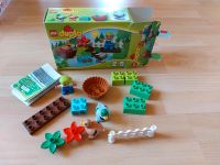 Lego Duplo Entenfütterung Hessen - Bad Camberg Vorschau