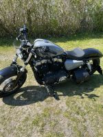 Harley Davidson 48 Nordvorpommern - Landkreis - Barth Vorschau