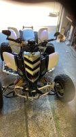 Suche für Yamaha yfm raptor 660 Achse federn Lenker und Baden-Württemberg - Eggenstein-Leopoldshafen Vorschau