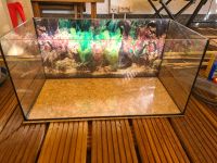 Glas Aquarium mit Zubehör Köln - Pesch Vorschau
