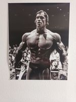 Poster Arnold Schwarzenegger Köln - Mülheim Vorschau