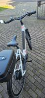 Neues E-Bike Sachsen - Eilenburg Vorschau