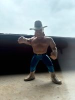 Billy Gunn / smoking gunns / wwe wwf Wrestling Hasbro Schleswig-Holstein - Norderstedt Vorschau