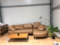 Ledersofa Ledercouch Lederecksofa Sofa Couch Ecksofa Nordrhein-Westfalen - Salzkotten Vorschau