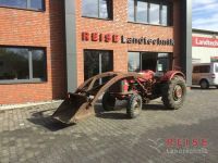 Massey Ferguson 65 Oldtimer - Traktor Nordrhein-Westfalen - Lippetal Vorschau