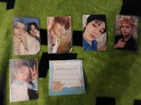 WTS straykids pcs Schleswig-Holstein - Horst (Holstein) Vorschau