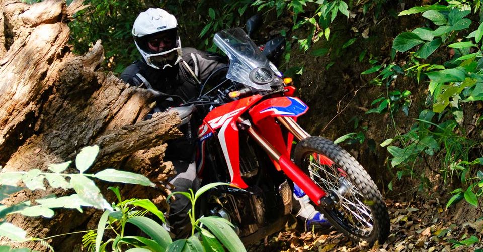 Honda CRF 300 Rally Enduro Leasing NUR 131€ IM MONAT! in Marktoberdorf