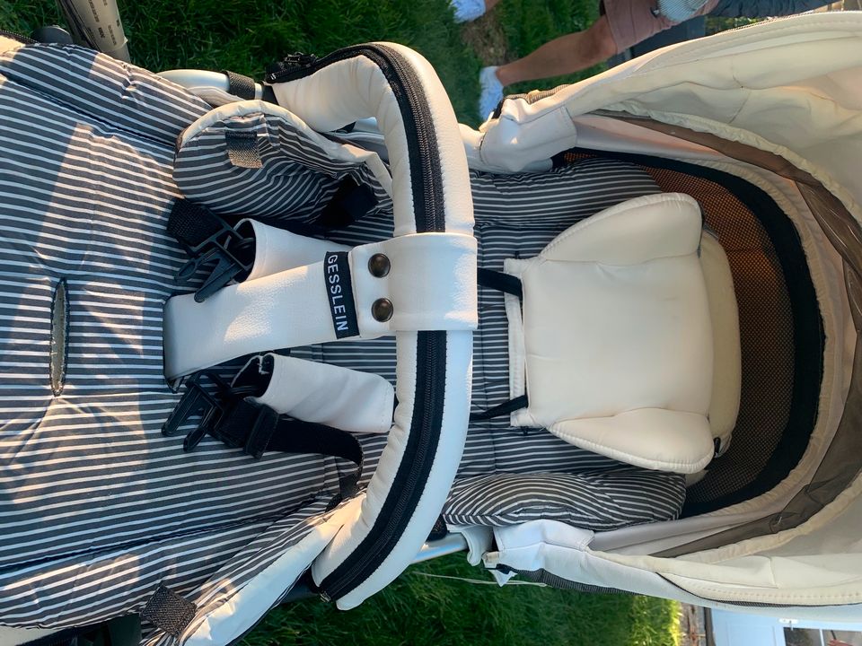 Gesslein Kinderwagen F6 in Rimsting