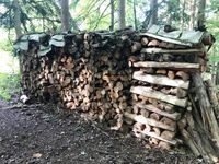 Brennholz ab Wald zu verkaufen Bayern - Windsbach Vorschau