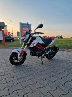 Benelli Tnt 125 Frankfurt am Main - Preungesheim Vorschau