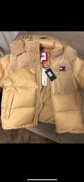 Tommy Hilfiger Winterjacke/ Gr. M- Tommy Jeans Pufferjacke Alaska Niedersachsen - Bad Bentheim Vorschau