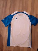 Trainingsshirt Puma Gr. M Bayern - Wilhermsdorf Vorschau