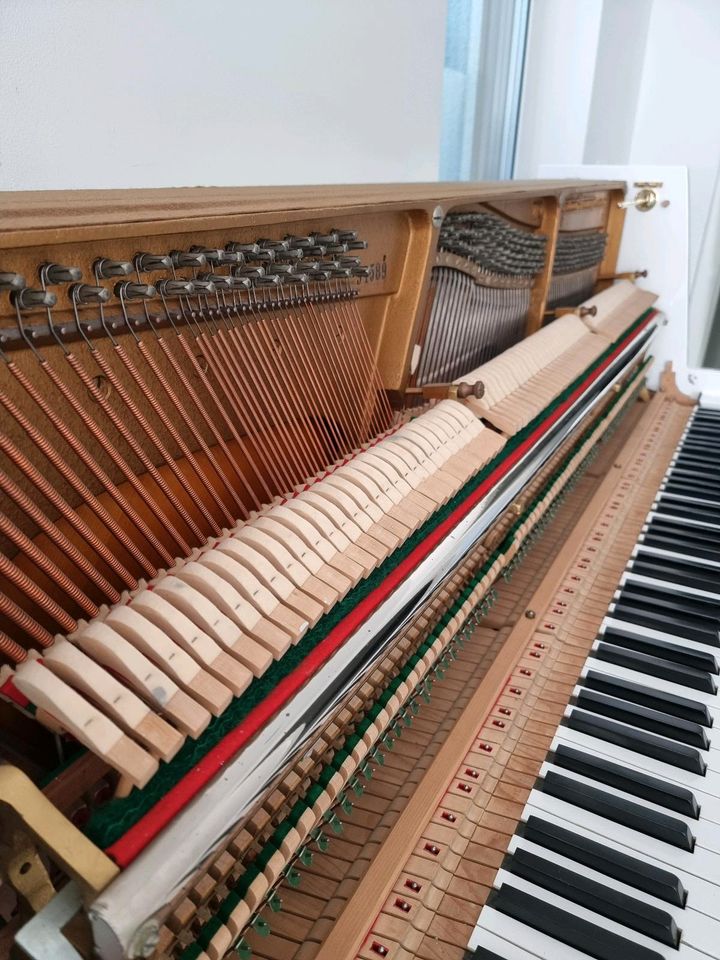 Lackierung Musikinstrumente Klavier-Lackierung Flügel in Duisburg