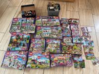 Große Lego Friends Sammlung Nordrhein-Westfalen - Meinerzhagen Vorschau