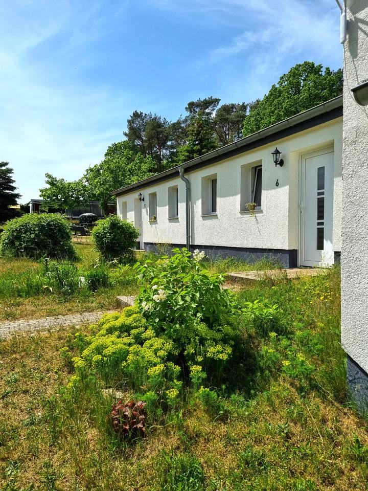Ferienhaus am See mit Steg, Motorboot, E- Bikes, Paddelboote, SUP in Rheinsberg