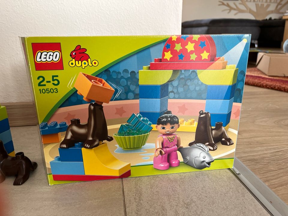 Lego Duplo 10503 Seelöwen Show OVP vollständig in Porta Westfalica