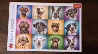 Puzzle - 1000 - Funny dog portraits - Lustige Hundeporträts Trefl Hannover - Herrenhausen-Stöcken Vorschau