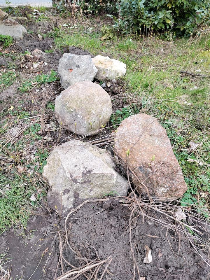 Feldsteine Findlinge Granitsteine zu verschenken in Haldensleben