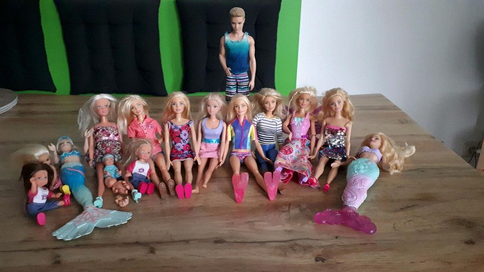 Riesen Barbie Set mit Haus in Kamen