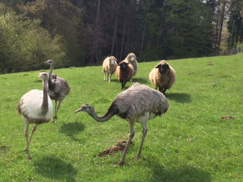 Wanderlaub in den Bayerischen Bergen in der Bergpension Maroldhof in Warngau