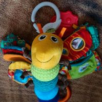 Lamaze Libelle Baby Greifspielzeug Motorik Sachsen - Bad Elster Vorschau