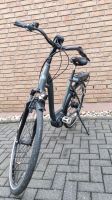 E-Bikes Carver Cityzen 1030FL Nordrhein-Westfalen - Windeck Vorschau