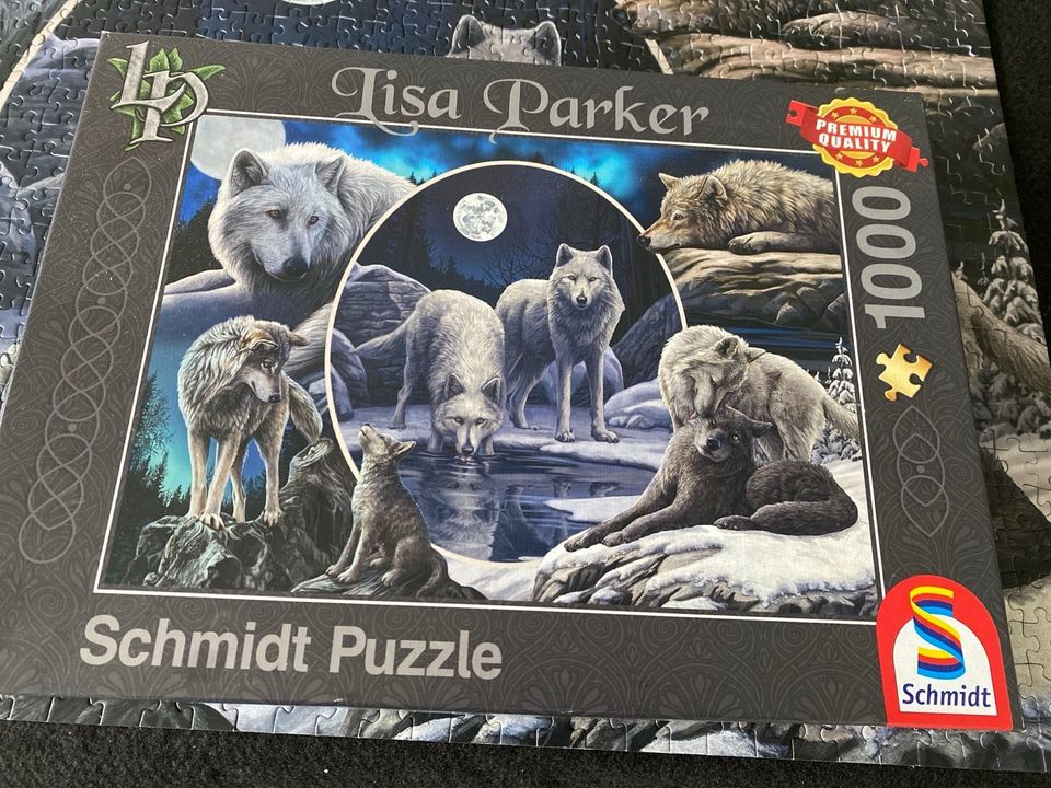 Schmidt Puzzle Lisa Parker 59666 1000 Teile in Braunschweig