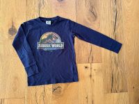 Jurassic World Langarmshirt Gr. 122/128 Dino blau Dinosaurier Brandenburg - Neuruppin Vorschau