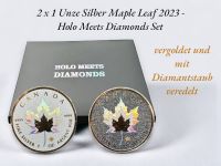 2 x 1 Unze Silber Maple Leaf 2023 Holo Meets Diamonds Set Niedersachsen - Wittingen Vorschau