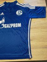 Schalketrikot XS Hessen - Niederaula Vorschau