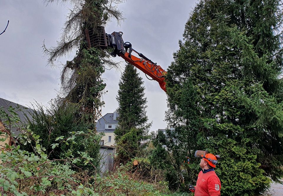 Landschaftspflege und Forstbetrieb in Fröndenberg (Ruhr)