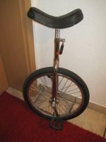 Einrad 20 Zoll Rahmen und Felge Chrom Unicycle Fahrrad Rad Nordrhein-Westfalen - Schlangen Vorschau