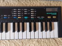 Casio Sk 1 Sampling Keyboard Baden-Württemberg - Konstanz Vorschau