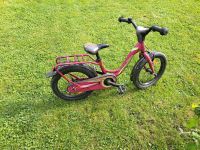 Kinderfahrrad Pegasus Prima 16 Zoll Bayern - Landshut Vorschau