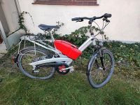 Flyer F Serie Pedelec Elektrofahrrad Schleswig-Holstein - Trittau Vorschau