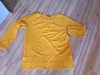 Cecil Pulli XL (AA 62cm) Bayern - Gunzenhausen Vorschau