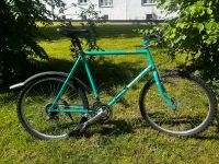 Scott Sawtooth Mountainbike 1989 Vintage Klassiker Baden-Württemberg - Neuhausen Vorschau