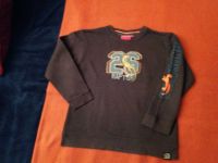 Salt and Pepper Sweatshirt Pullover Pulli, Dinosaurier, 128/134 Nordrhein-Westfalen - Ostbevern Vorschau