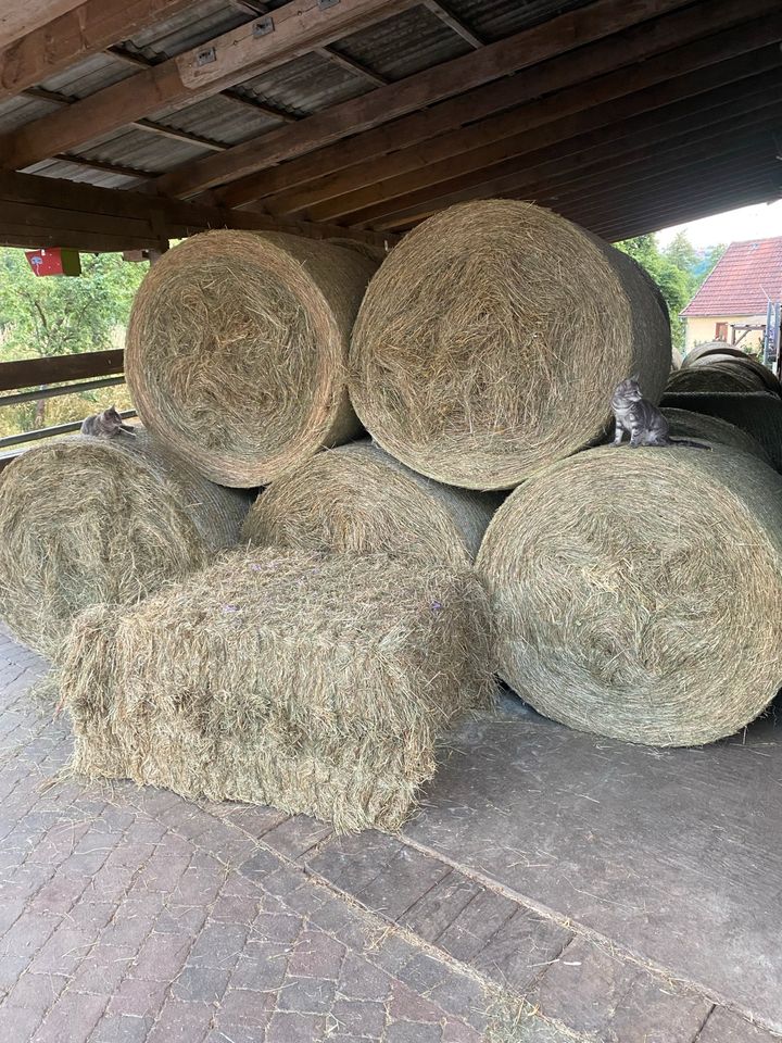 Bio Heu Rundballen in Poppenhausen