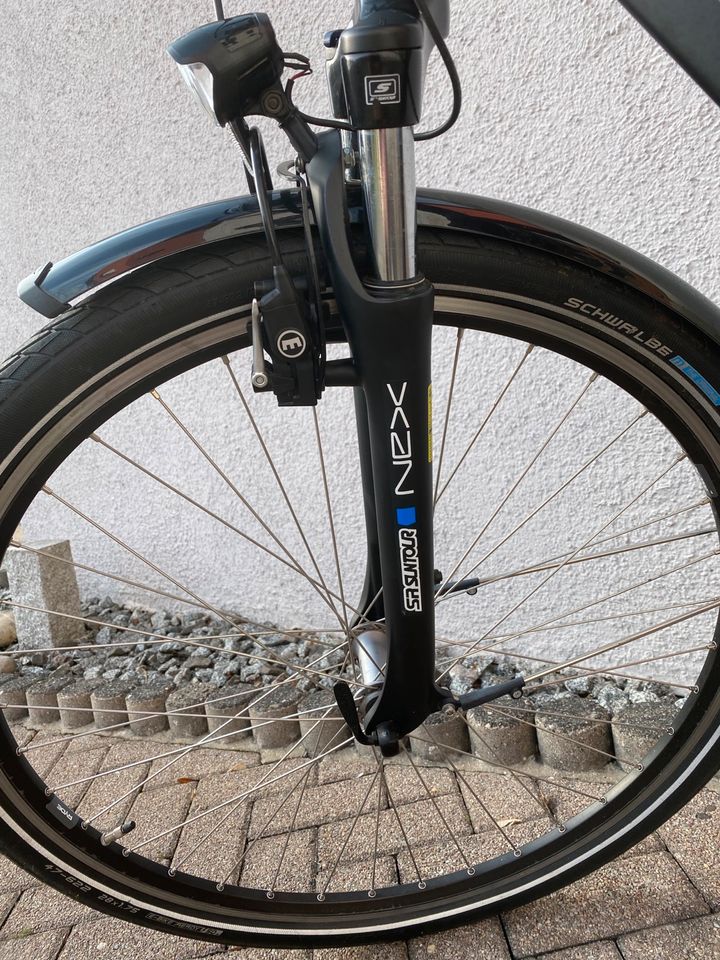 E-Bike Hercules Roberta Pro 8F  Gr.50 in Bad Wimpfen