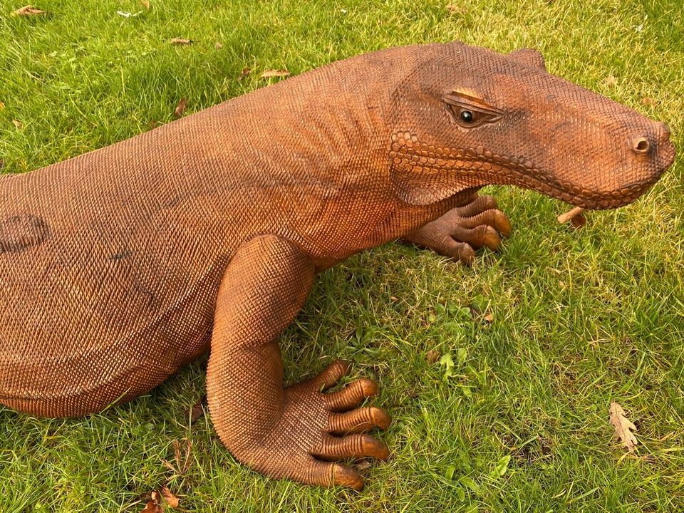 Holzleguan 40cm Leguan Holz Terrarium Gartenteich Teichfigur in Essen