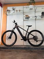 CUBE REACTION HYBRID EXC 750 E-Bike ERST 658KM 750WH Smart System Baden-Württemberg - Tettnang Vorschau